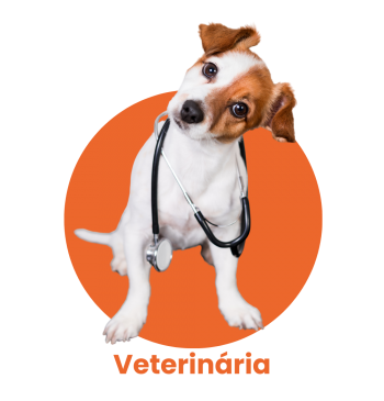 Veterinária